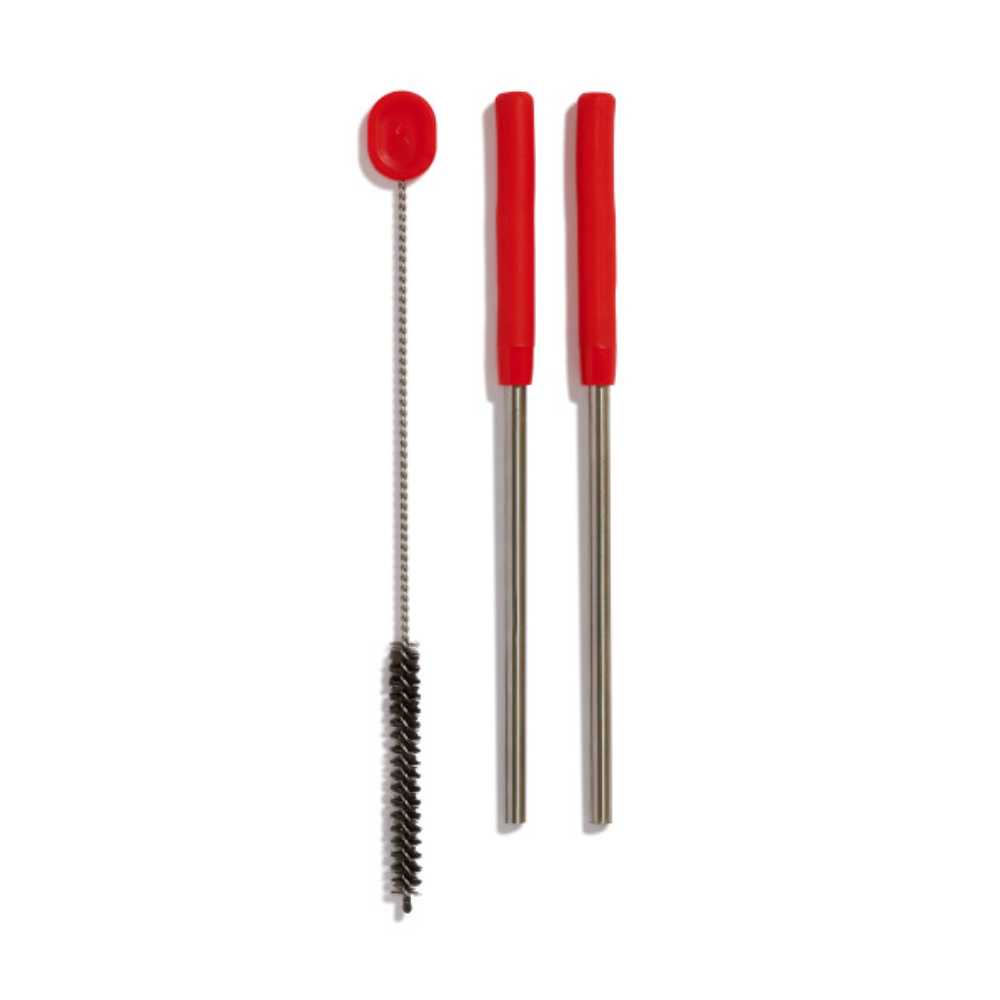 Hydro Flask Stainless Steel Straw Set Goji