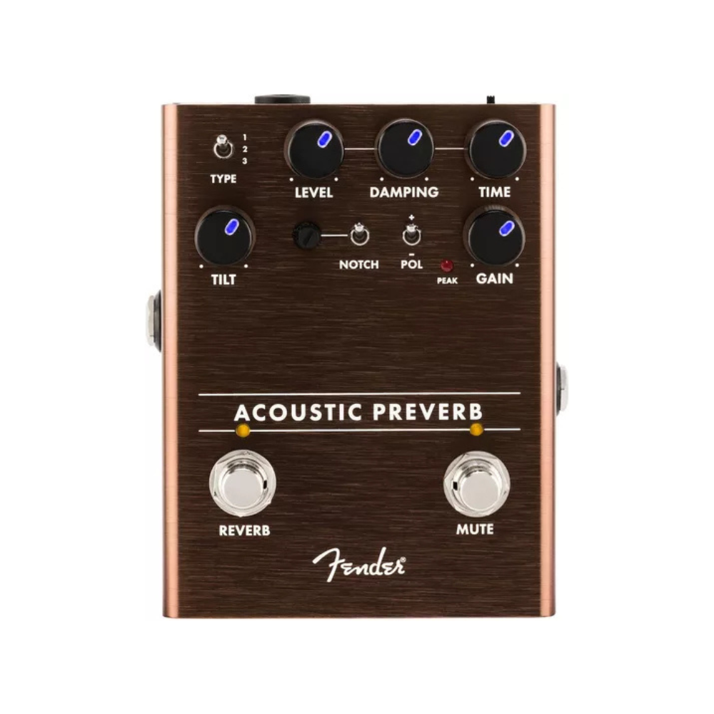 Fender Acoustic Preamp-Reverb