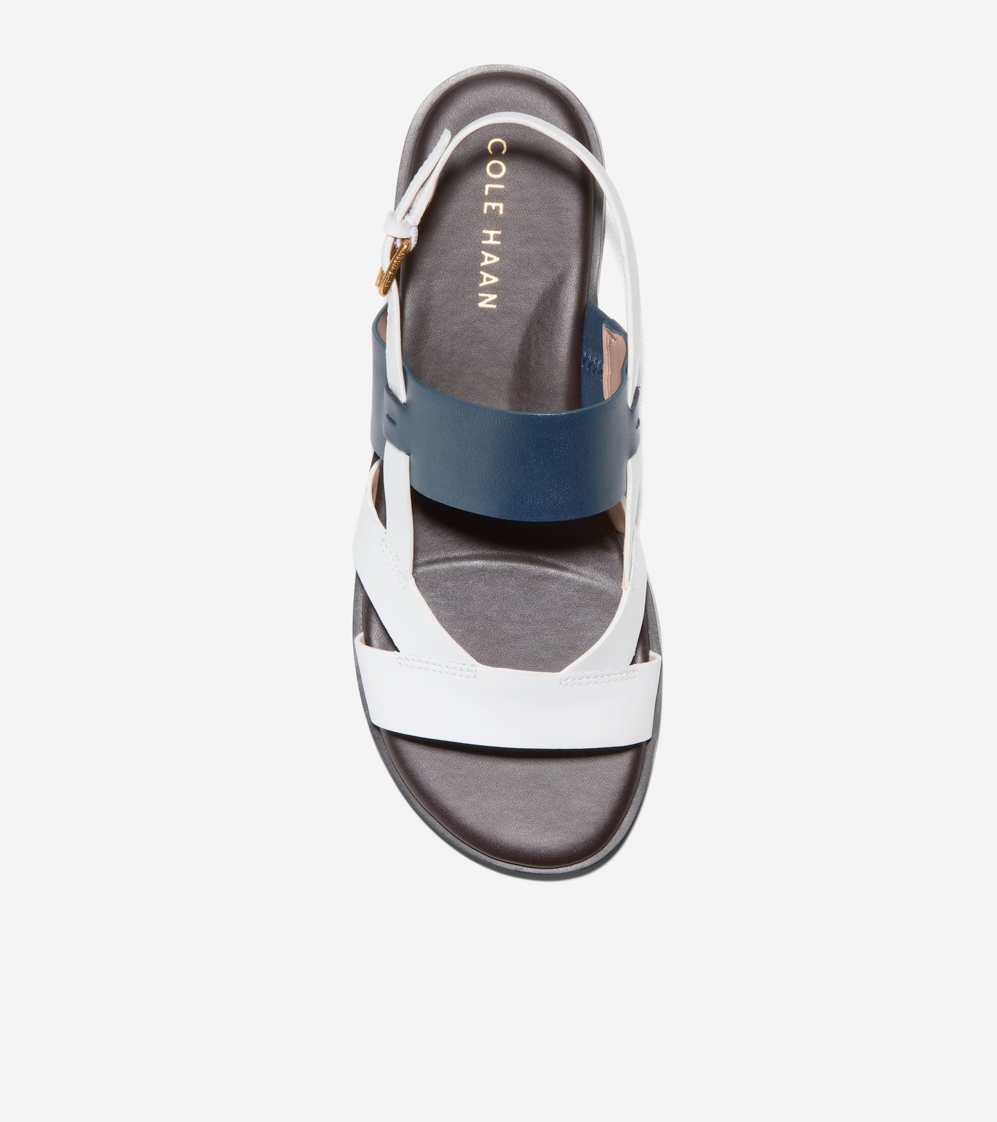 W30286:BLUE WING TEAL/CH DK CHOCOLATE/WHITE LTR