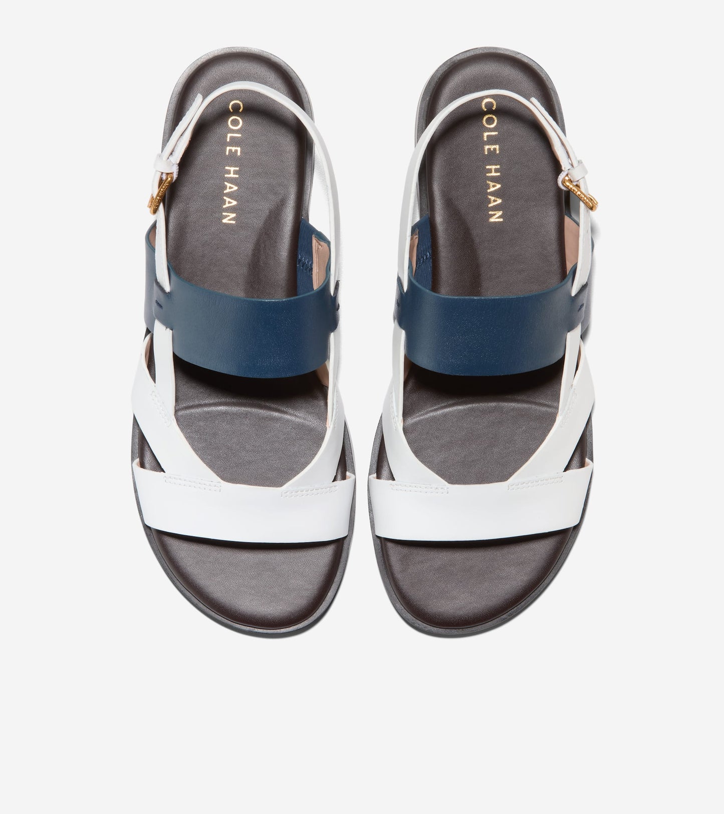 W30286:BLUE WING TEAL/CH DK CHOCOLATE/WHITE LTR