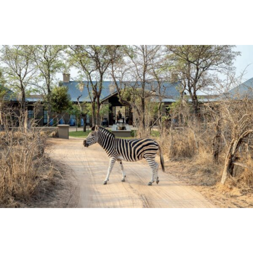 Safari Style