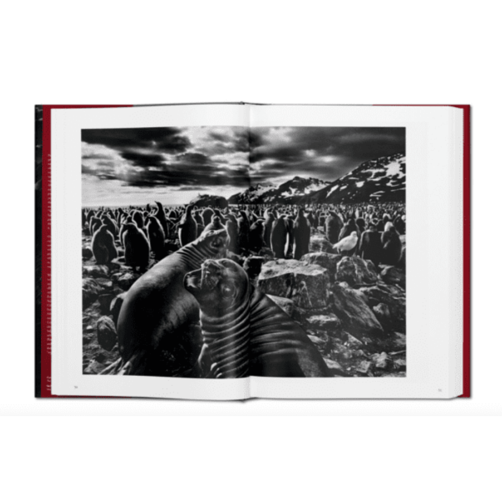 Sebastião Salgado. GENESIS