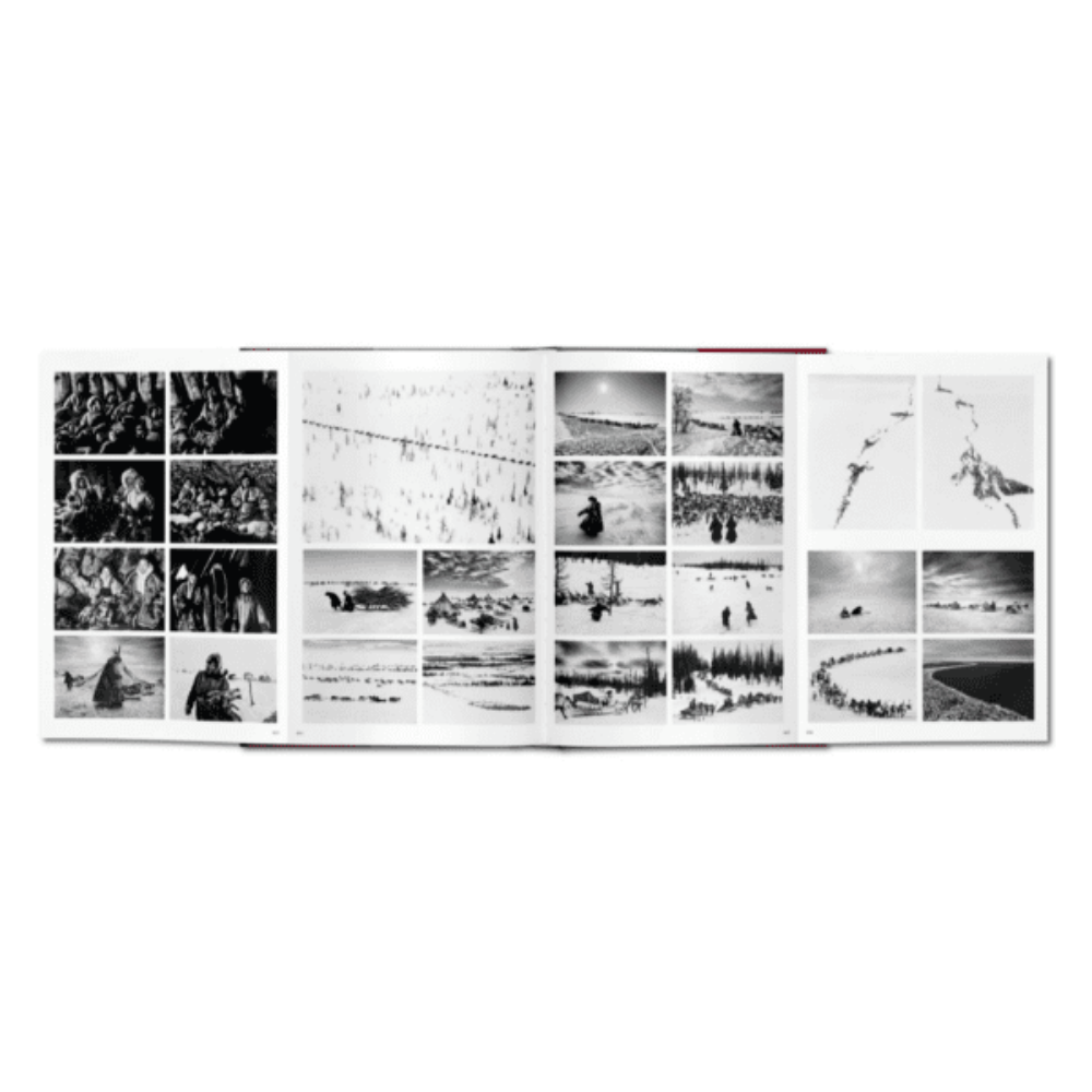 Sebastião Salgado. GENESIS